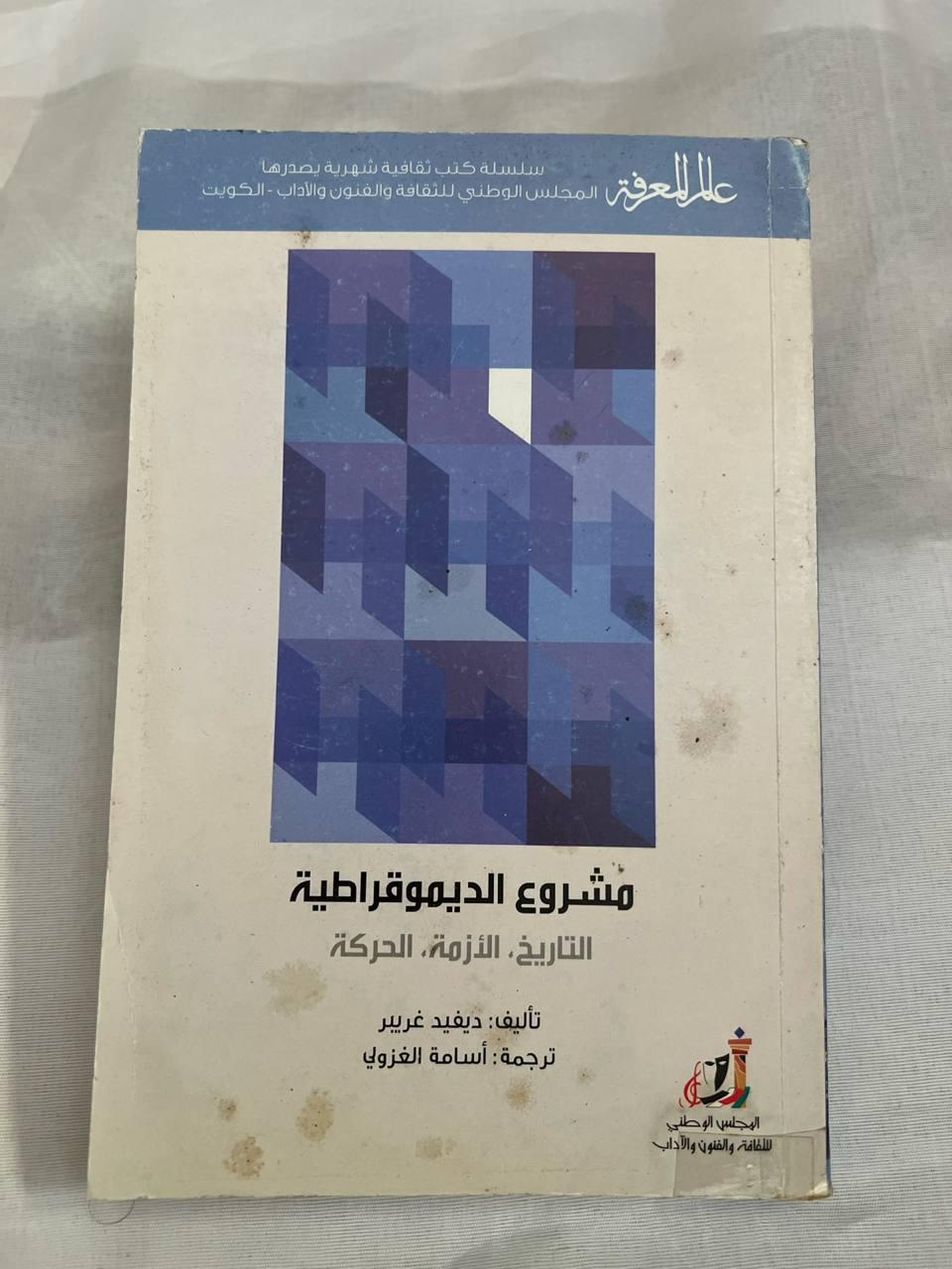 مشروع الديموقراطية: التاريخ، الأزمة، الحركة
