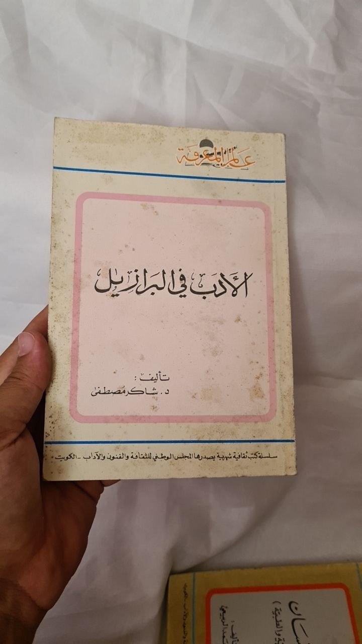 الأدب في البرازيل