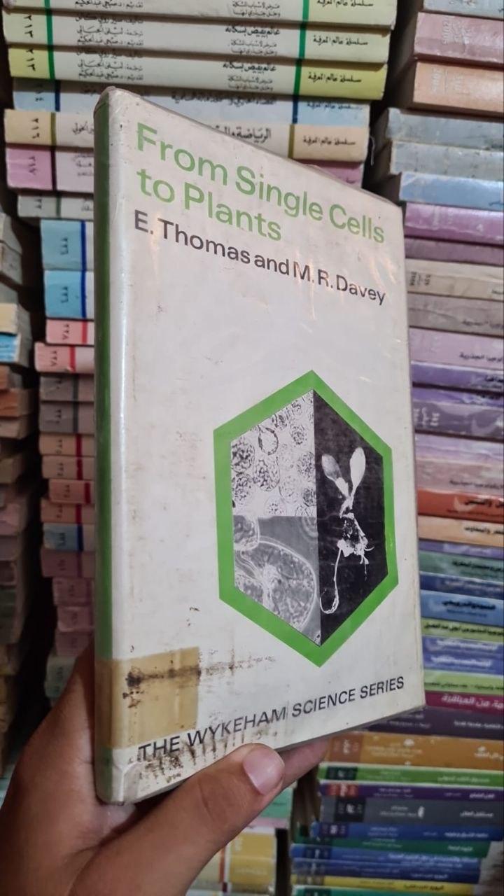 From Single Cells to Plants