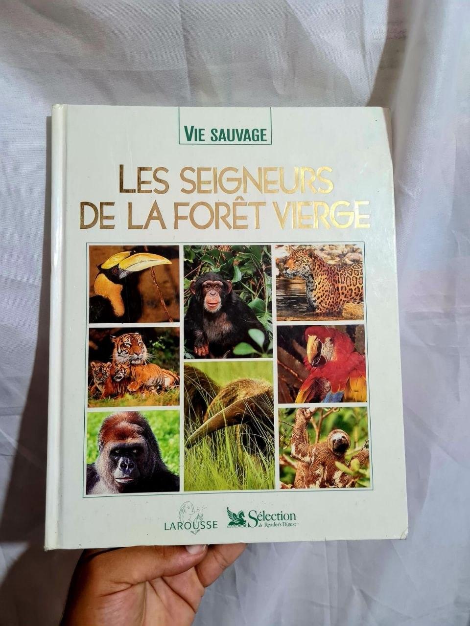 Les Seigneurs de la Forêt Vierge