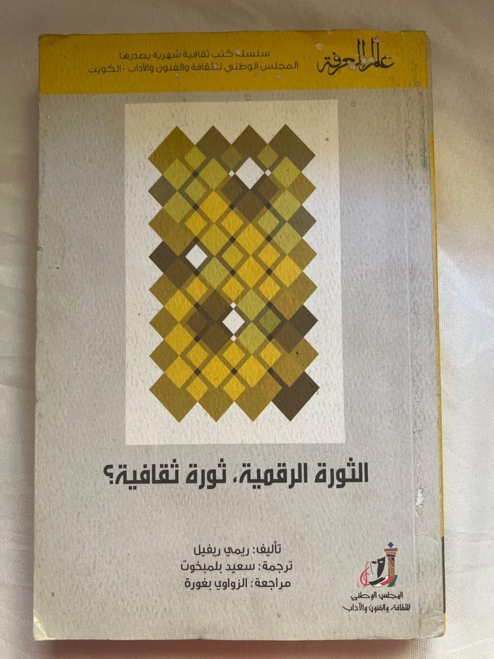 الثورة الرقمية، ثورة ثقافية؟
