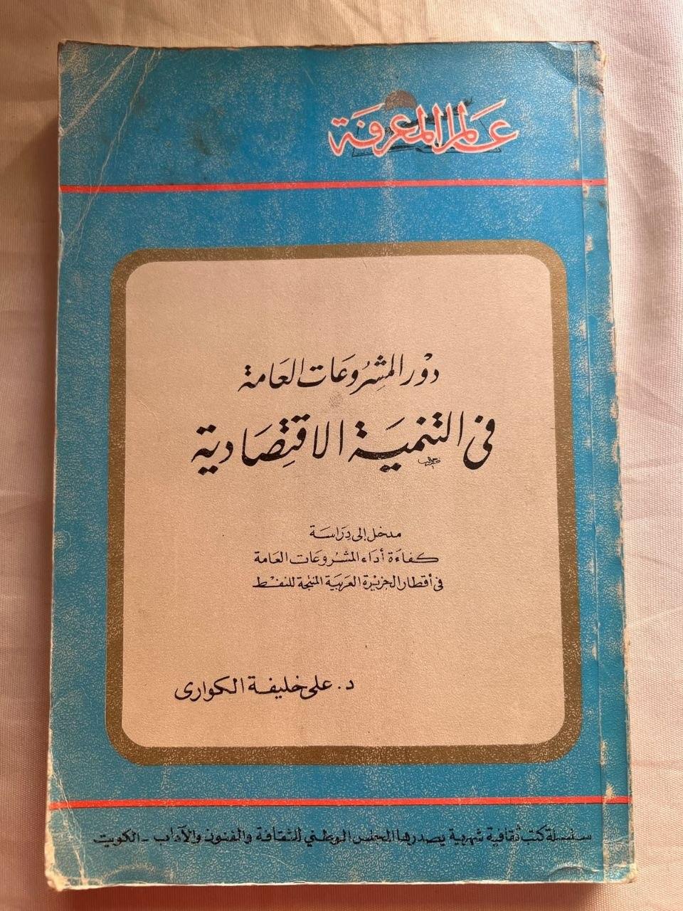 دور المشروعات العامة في التنمية الاقتصادية